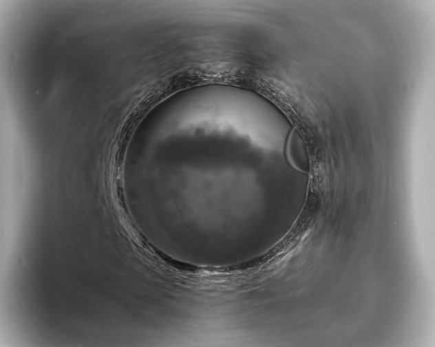 X0000094060913200710261222