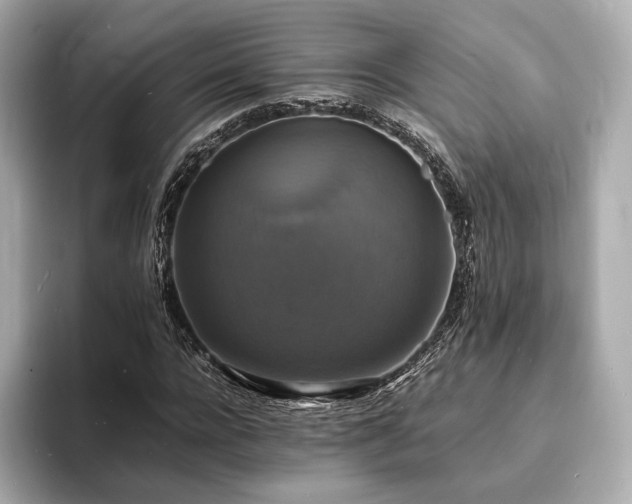 X0000094060920200710261222