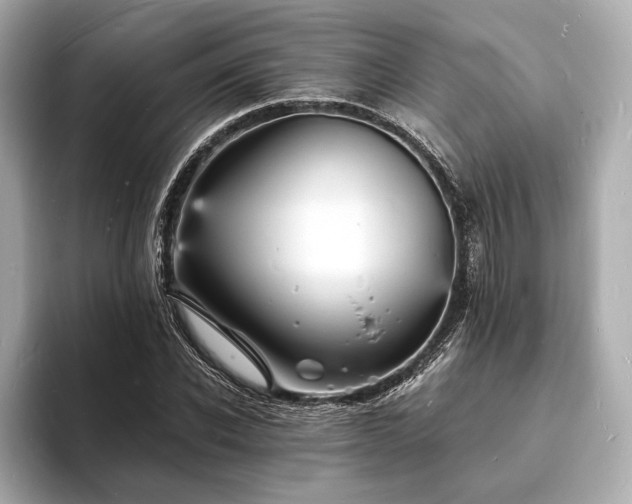 X0000094060926200710261222