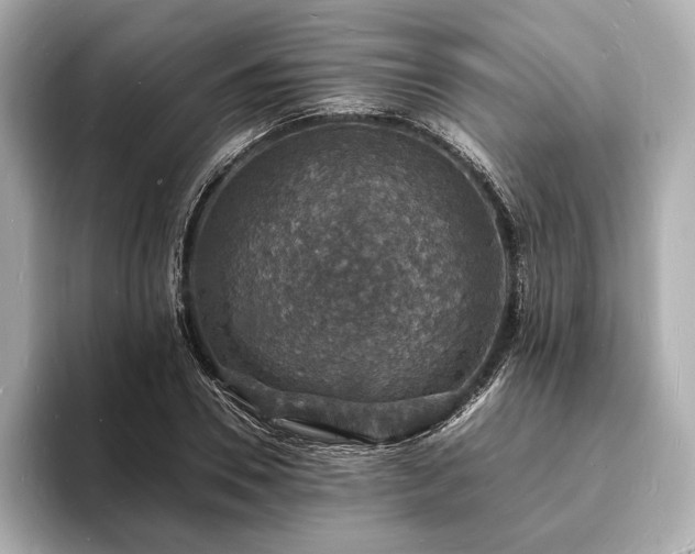 X0000094060930200710261222