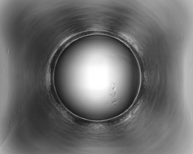 X0000094060931200710261222