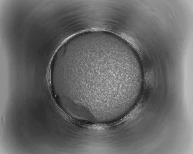 X0000094060934200710261222