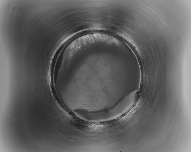 X0000094060935200710261222