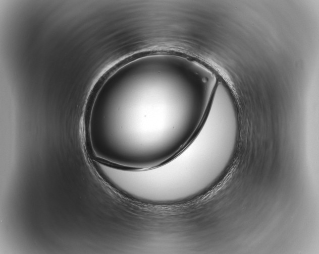 X0000094060936200710261222
