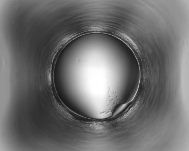 X0000094060938200710261222