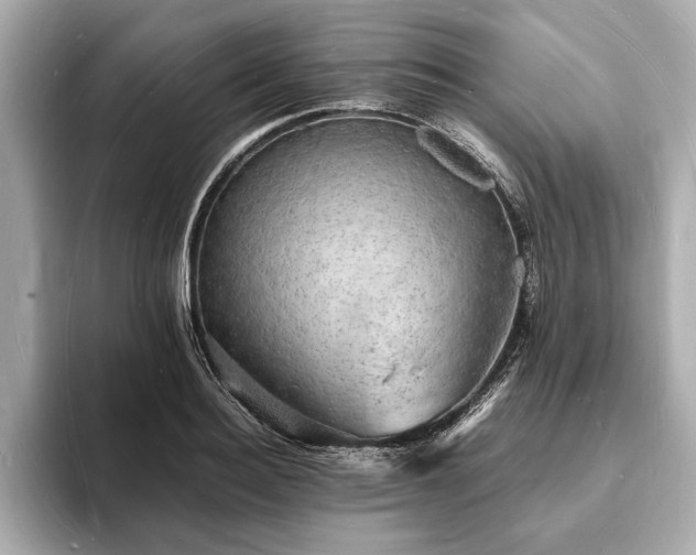 X0000094060940200710261222