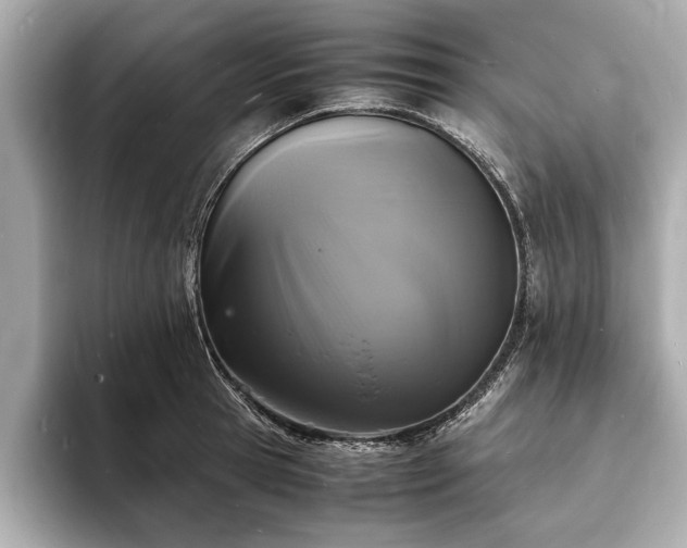 X0000094060945200710261222
