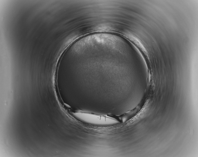X0000094060946200710261222