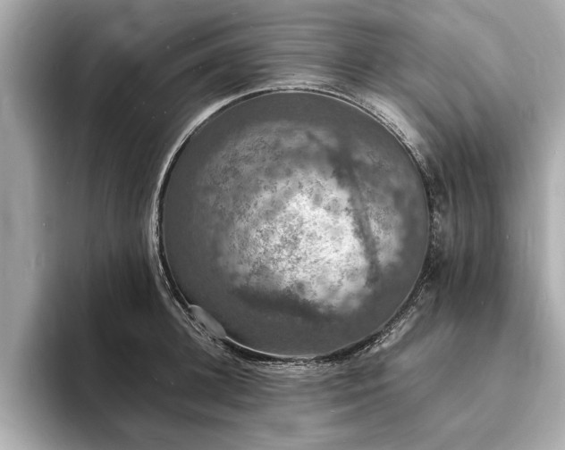 X0000094060948200710261222