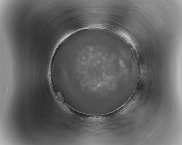 X0000094060952200710261222