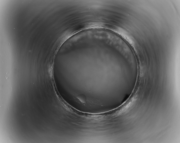 X0000094060953200710261223