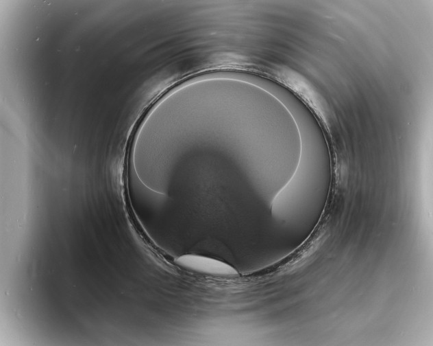 X0000094060954200710261223