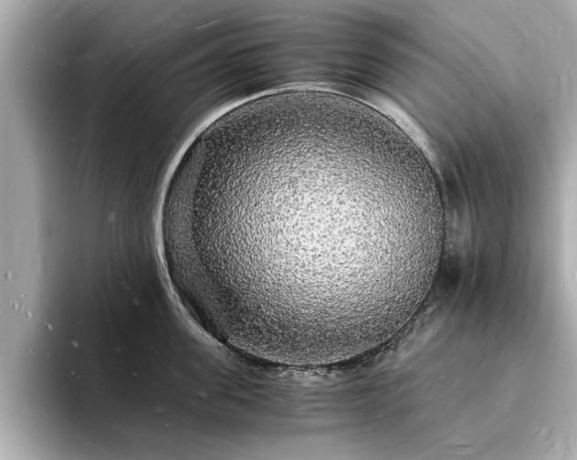 X0000094060955200710261223