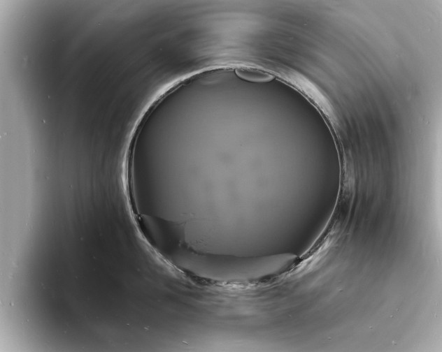 X0000094060958200710261223