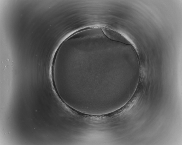 X0000094060959200710261223