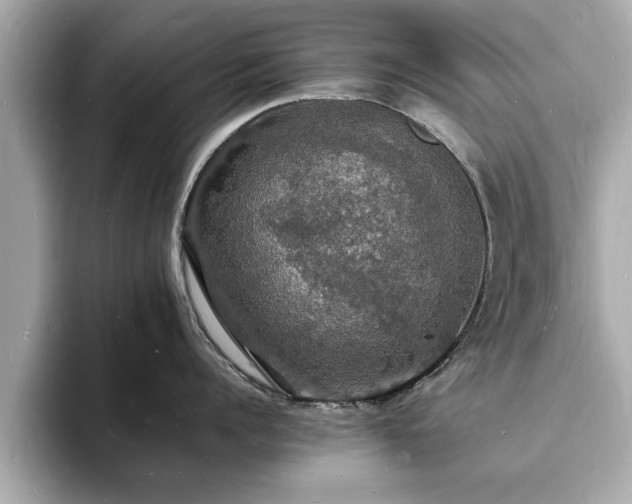 X0000094060960200710261223