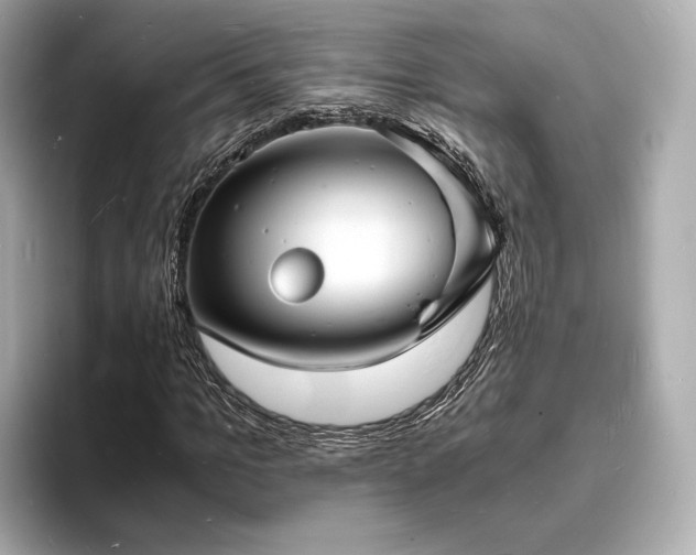 X0000094060965200710261222