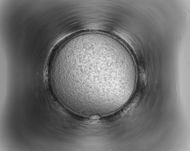 X0000094060971200710261222