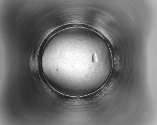 X0000094060972200710261222