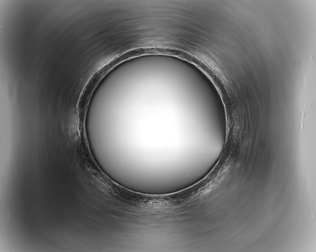 X0000094060974200710261222