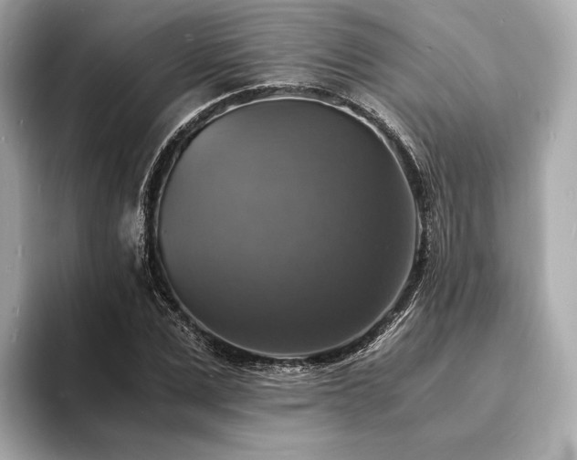 X0000094060975200710261222