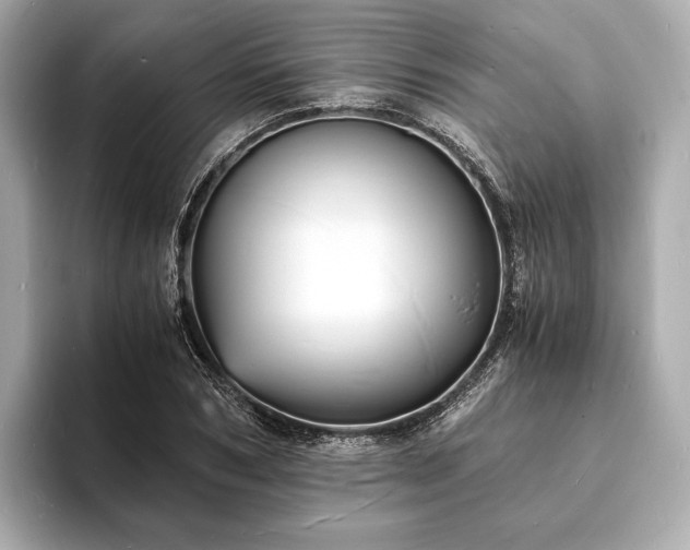 X0000094060978200710261222