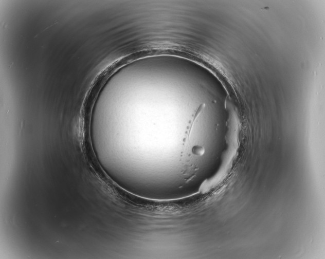 X0000094060979200710261222