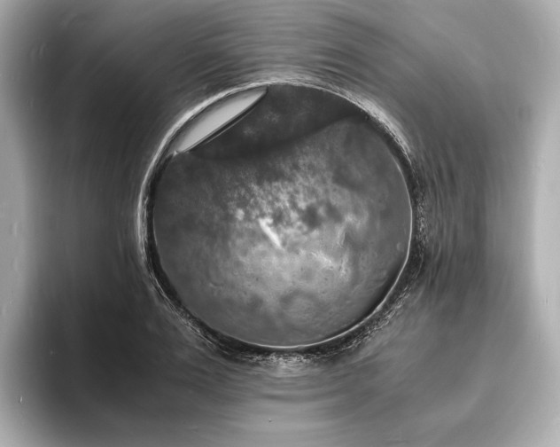 X0000094060983200710261222