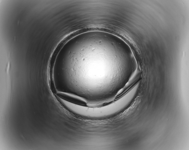 X0000094060984200710261222