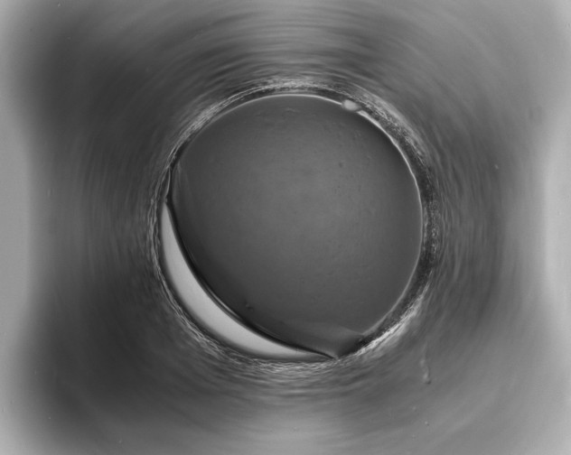X0000094060985200710261222