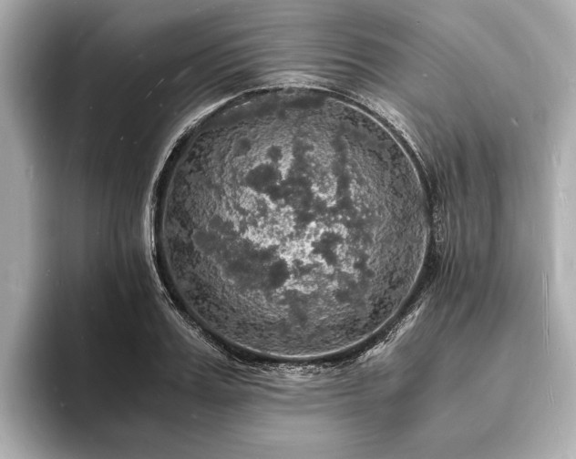 X0000094060987200710261222