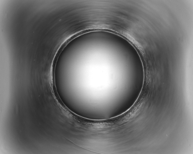X0000094060988200710261222