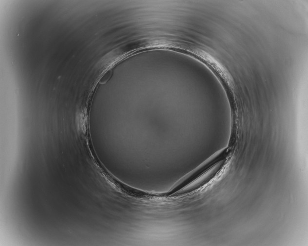 X0000094060993200710261222