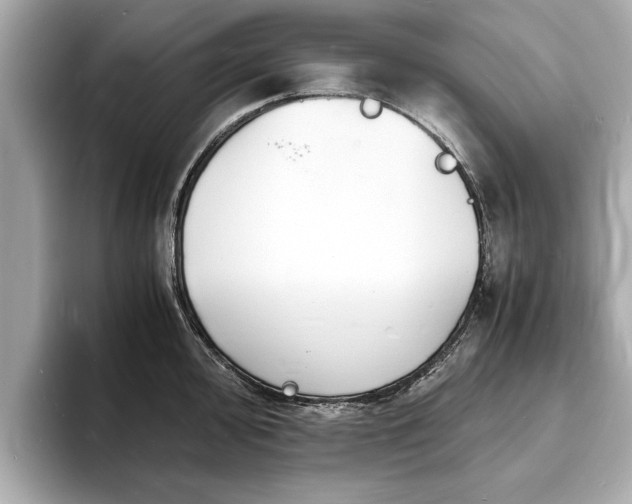 X0000094061000200710261221