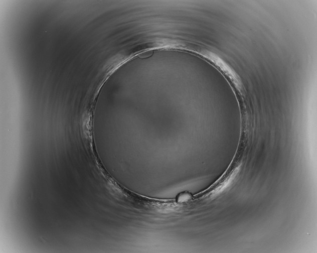 X0000094061001200710261221