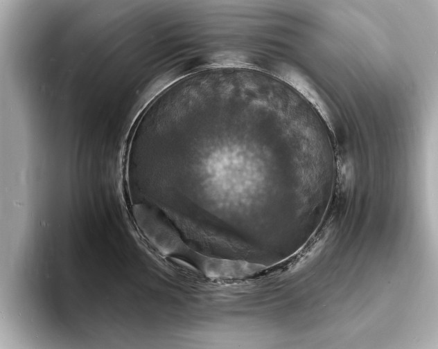 X0000094061002200710261221