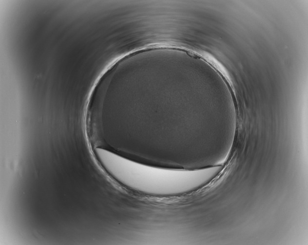 X0000094061005200710261221