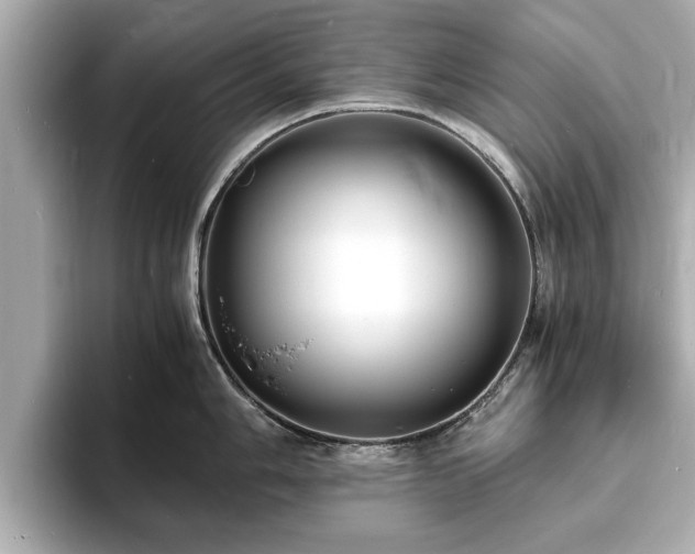 X0000094061006200710261221