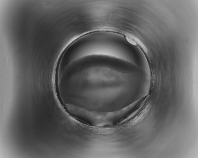 X0000094061007200710261221