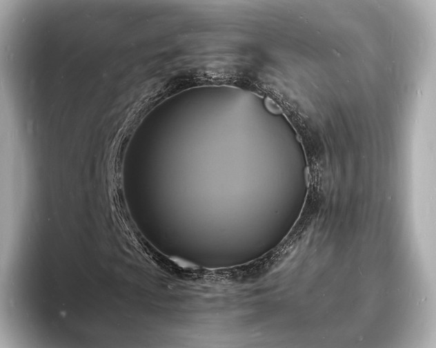 X0000094061009200710261221