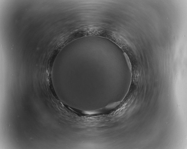 X0000094061010200710261221