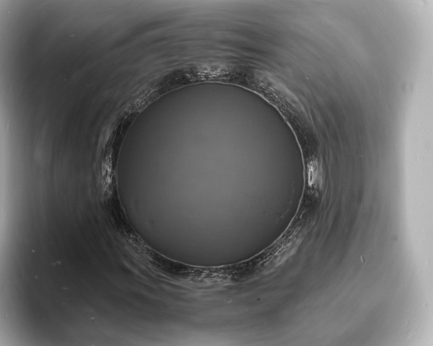 X0000094061011200710261221