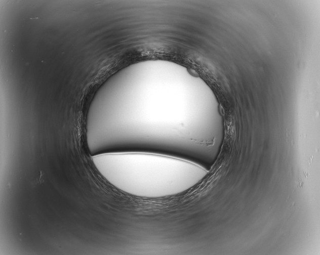 X0000094061012200710261221