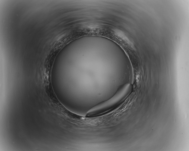 X0000094061013200710261221