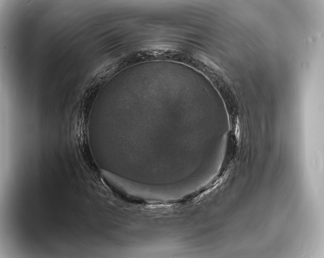 X0000094061014200710261221
