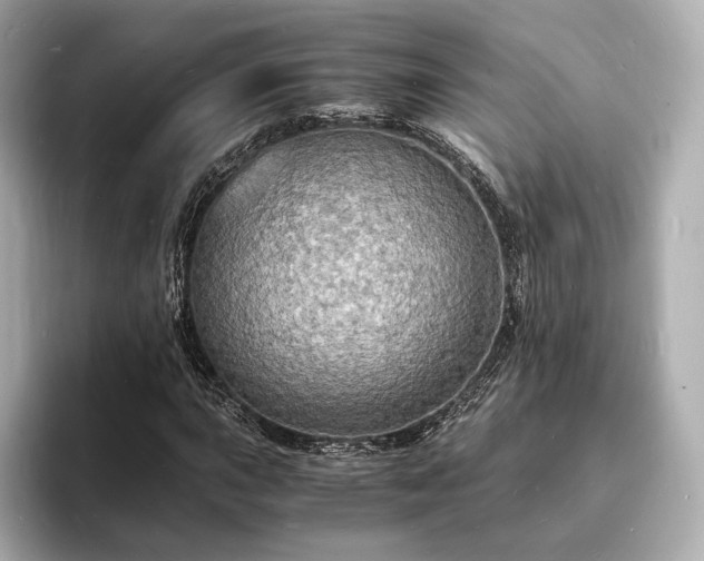 X0000094061015200710261221