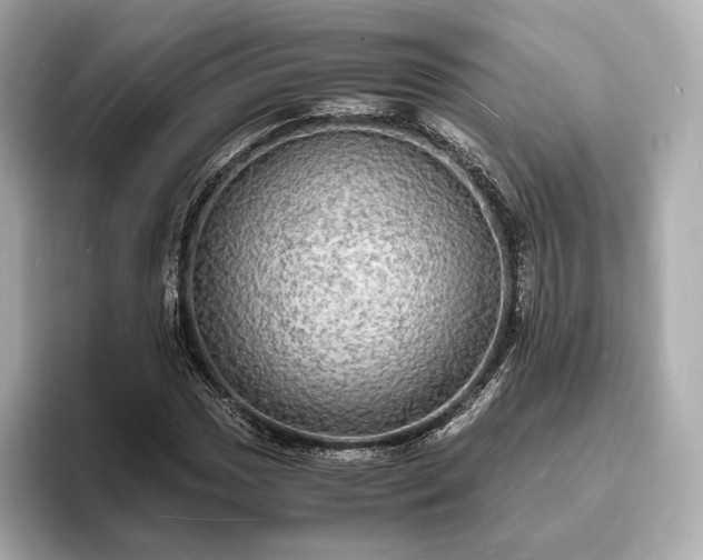 X0000094061017200710261221