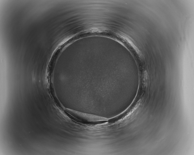 X0000094061018200710261221