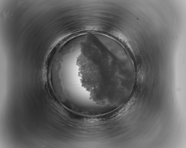 X0000094061019200710261221
