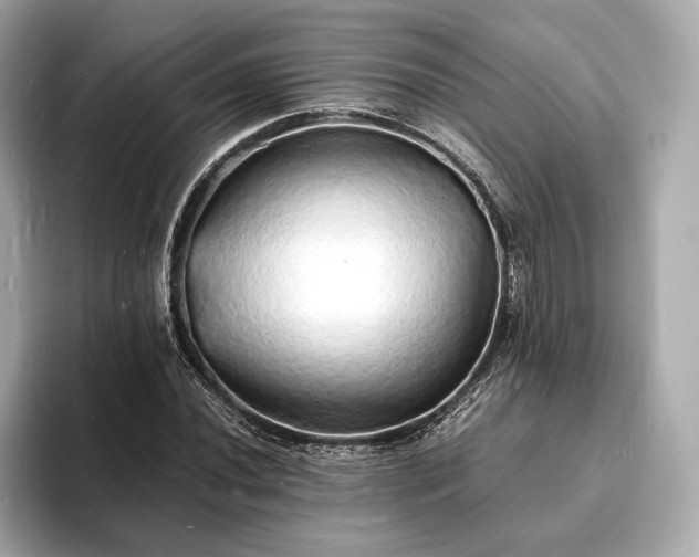 X0000094061020200710261221